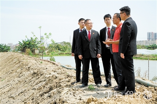 執(zhí)行法官在田間地頭向當(dāng)事人了解案情。