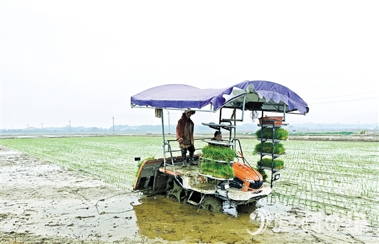 沖蔞鎮(zhèn)推進(jìn)農(nóng)業(yè)機(jī)械化，為春耕生產(chǎn)提供有力保障。