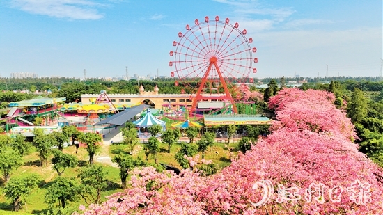 依托禮樂街道獨(dú)特旅游資源，長(zhǎng)廊生態(tài)園開發(fā)研學(xué)旅游項(xiàng)目，賦能“江門三點(diǎn)三精彩之旅”品牌建設(shè)。