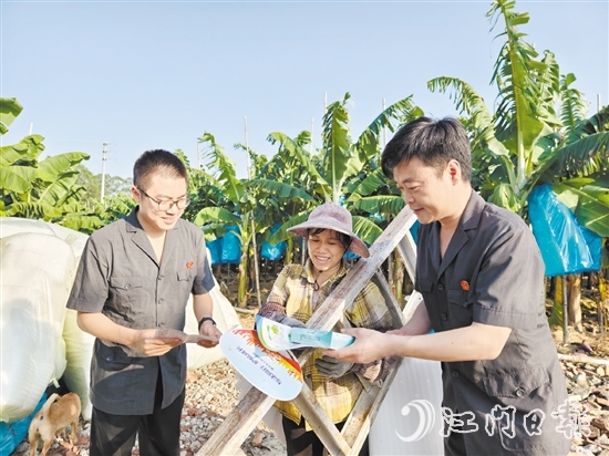 恩平法院干警深入田間地頭開展基層普法。