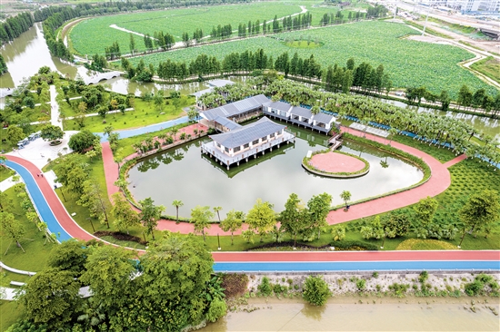 江海區(qū)禮樂河水利風(fēng)景區(qū)。