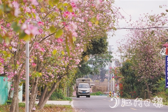 2.五十河花廊