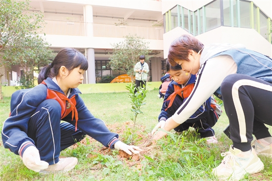 江門一中附屬小學(xué)師生攜手添綠。