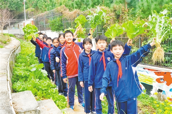 在鶴山市碧桂園學(xué)?！疤依顖@”勞動(dòng)實(shí)踐基地，學(xué)生們采摘自己種下的勞動(dòng)成果，感受勞動(dòng)的樂趣與收獲的喜悅。
