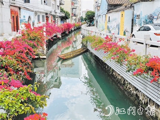 外海街道直沖村一河兩岸花團(tuán)錦簇，美景如畫。