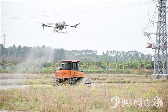 無人機、水旱耕作機協(xié)作開展春耕生產(chǎn)。
