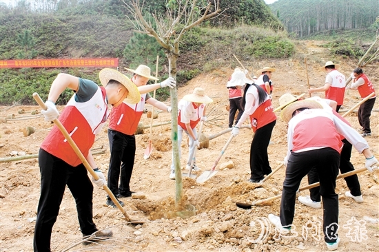 在植樹活動(dòng)中，大家揮鍬培土，干勁十足，為恩平增添綠意，為全運(yùn)會(huì)舉辦貢獻(xiàn)自己的力量。