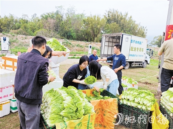 “恩平菜”在米倉村現(xiàn)場發(fā)貨，新鮮到達五邑各地市民餐桌。