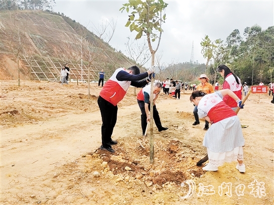 黨員干部積極參與植樹活動。