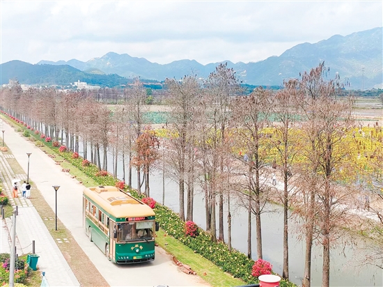 游客坐上“鐺鐺車”，欣賞沿途的美景。