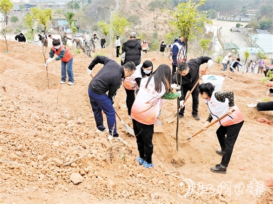 2025年蓬江區(qū)鄉(xiāng)村綠化主題植樹(shù)活動(dòng)在五洞村舉行，黨員群眾攜手種下一棵棵樹(shù)苗。