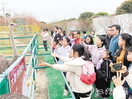 孩子們近距離觀察各類鳥禽。