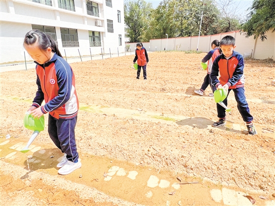 學生們?yōu)榘嗉墶柏熑翁铩敝袆倓偛シN的花生澆水。