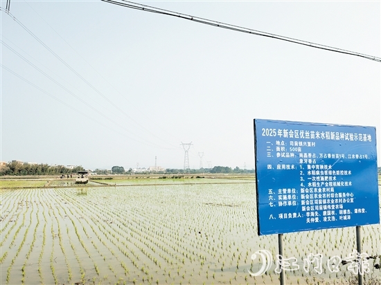興篁村建成標(biāo)準(zhǔn)農(nóng)田，為糧食高產(chǎn)、穩(wěn)產(chǎn)、均衡增產(chǎn)奠定基礎(chǔ)。