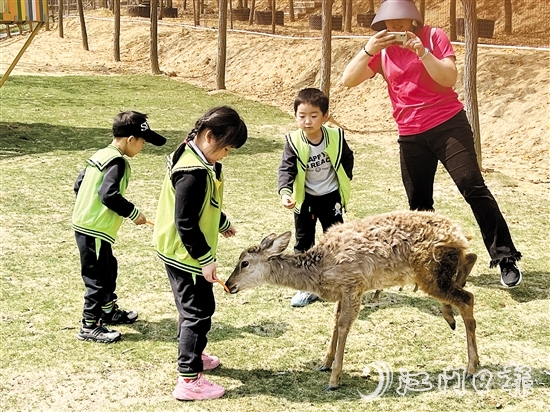 在江門市七顆星農(nóng)業(yè)生態(tài)園，小朋友們與動(dòng)物互動(dòng)。