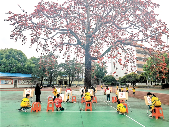 古井小學(xué)國(guó)畫(huà)社團(tuán)組織學(xué)生在校園木棉樹(shù)下畫(huà)木棉花。