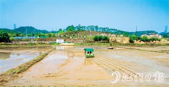 松土機(jī)、插秧機(jī)在集中連片的水田里來(lái)回穿梭。
