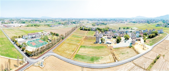 鷹村田園綜合體項目建設順利推進。