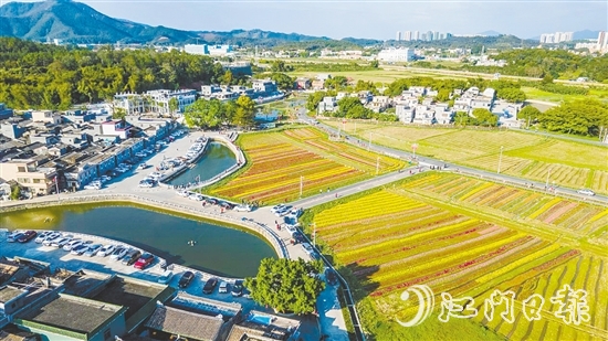 春賞格?；?、夏觀荷塘月、秋品稻花香、冬聞桂花釀的“全季旅游”模式，讓桂水村的知名度不斷攀升。