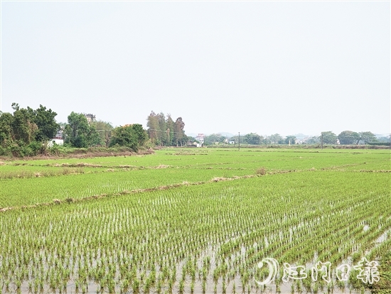 2024年，塘口新增耕地超49公頃，為鄉(xiāng)村振興注入了新動能。