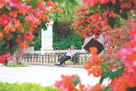 影視劇《棋士》曾在東湖公園取景。