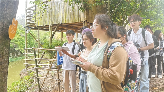 學(xué)生們在基地觀察各類植物。