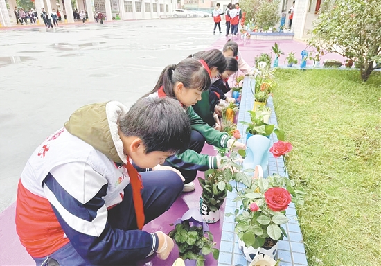 學(xué)生們親手培植的綠植生機盎然。