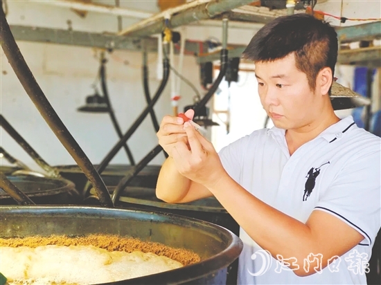 馮雄偉仔細(xì)觀察對(duì)蝦種苗。