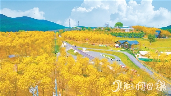江門市七顆星農(nóng)業(yè)生態(tài)園于今年1月正式對外營業(yè)，吸引了不少市民游客前來游玩。