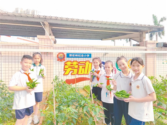 學(xué)生們在“幸福農(nóng)場”全程參與從播種到收獲的勞動過程。