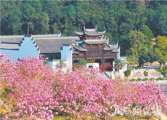 共和鎮(zhèn)來蘇村利用去年擂臺比武獲得的獎勵資金進(jìn)行一系列鄉(xiāng)村建設(shè)。圖為來蘇山水人家文旅項目。