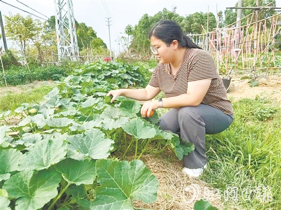 錢崗村村干部管好“黨群同心園”。