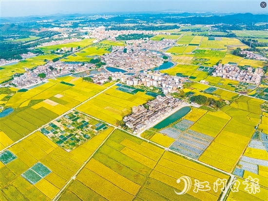 恩平土壤肥沃，富含“硒”元素，該市正努力推動讓“硒”資源轉(zhuǎn)化為富民強市的“硒”經(jīng)濟。圖為恩平市牛江鎮(zhèn)。