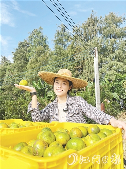劉雪菲不斷探索新會(huì)柑種植、新會(huì)陳皮陳化倉(cāng)儲(chǔ)的更多可能。