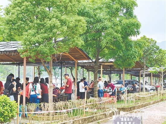 今年“五一”假期，恩平市簕菜文化創(chuàng)意園內(nèi)游人如織。