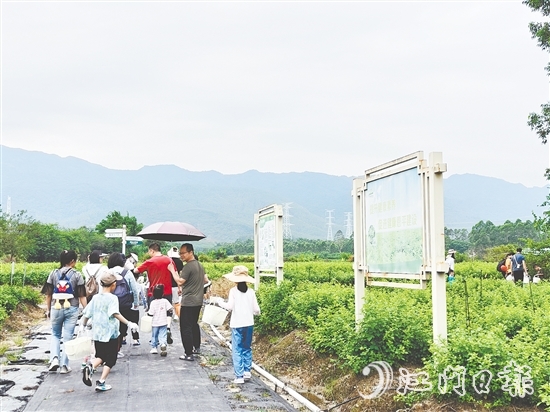 恩平市簕菜文化創(chuàng)意園打造集文旅、飲食、研學(xué)、農(nóng)耕等于一體的旅游綜合體。