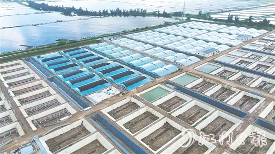 汶村鎮(zhèn)今年新引進(jìn)華辰水產(chǎn)，這是集研發(fā)、規(guī)?；B(yǎng)殖、生產(chǎn)于一體的現(xiàn)代化項(xiàng)目。