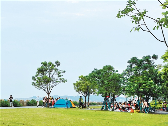 每到周末及節(jié)假日，江門各大公園及露營地成為親子野餐露營的首選之地。