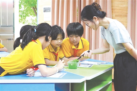 在古勞鎮(zhèn)連南小學(xué)的科學(xué)課上，學(xué)生們化身為“小小科學(xué)家”，認(rèn)真觀察并仔細(xì)記錄蠶的生長(zhǎng)變化。