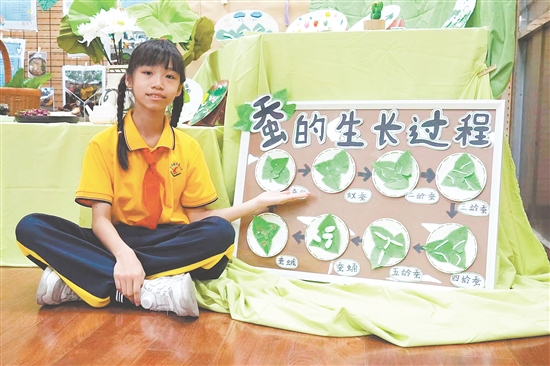 美術(shù)課上，學(xué)生在教師的指導(dǎo)下創(chuàng)作《蠶的一生》主題繪本。