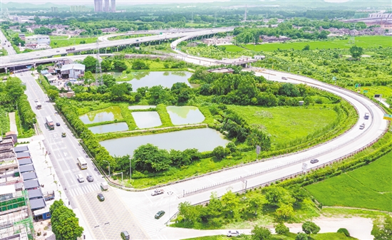 近年來，水步鎮(zhèn)先后投入約500萬元用于周邊廊道建設(shè)。