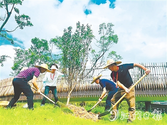 會(huì)城街道人大代表在小鳥(niǎo)天堂國(guó)家濕地公園種下40多株桃花樹(shù)苗。