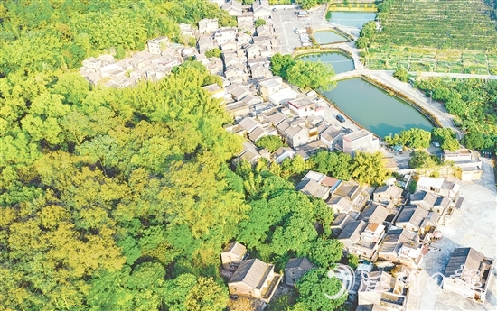 大江鎮(zhèn)石橋村華僑資源豐富，村內(nèi)有成片僑房形成的僑韻景觀。