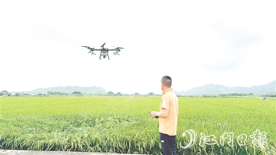 農(nóng)業(yè)技術(shù)人員利用大型植保無人機(jī)對(duì)農(nóng)田進(jìn)行補(bǔ)肥殺蟲。