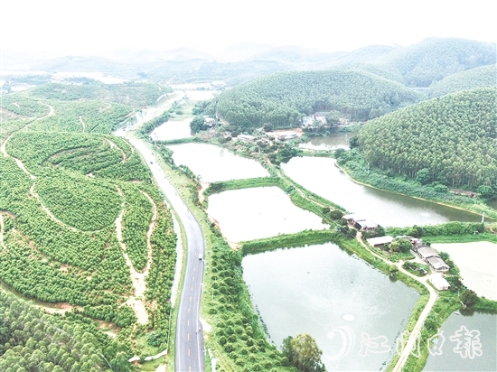 鶴山依托區(qū)位、資源、項(xiàng)目等核心優(yōu)勢(shì)，大力發(fā)展特色戶外運(yùn)動(dòng)。