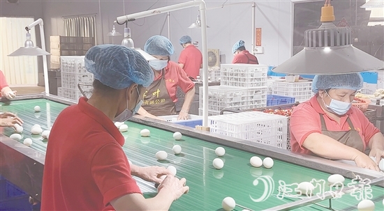 赤水鎮(zhèn)現(xiàn)已形成集種鴨繁育、生態(tài)養(yǎng)殖、飼料供應(yīng)、肉禽屠宰、蛋品加工、冷鏈物流于一體的完整產(chǎn)業(yè)鏈，產(chǎn)業(yè)總產(chǎn)值超5億元。