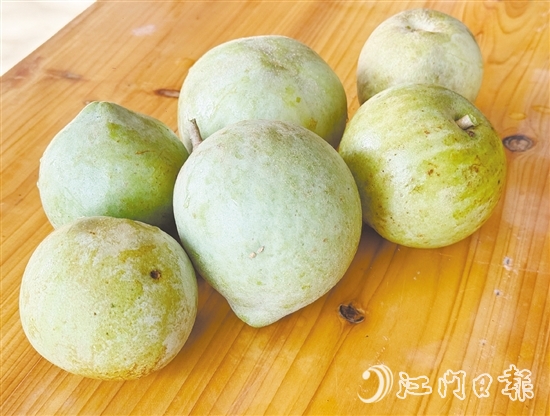 冰淇淋果果實(shí)成熟時(shí)可呈黃色或綠色，果肉為乳白色或米黃色，質(zhì)地綿軟順滑，果香濃郁。