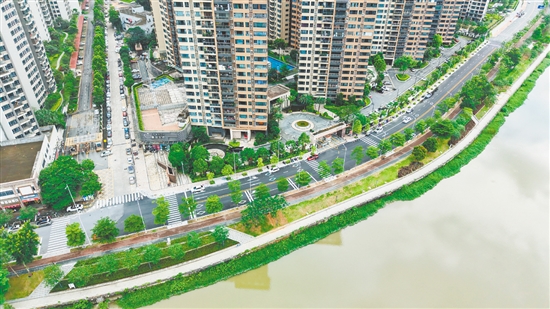實施改造工程后，桂香路變?yōu)殡p向兩車道，并鋪上瀝青罩面，讓車輛通行更加順暢。