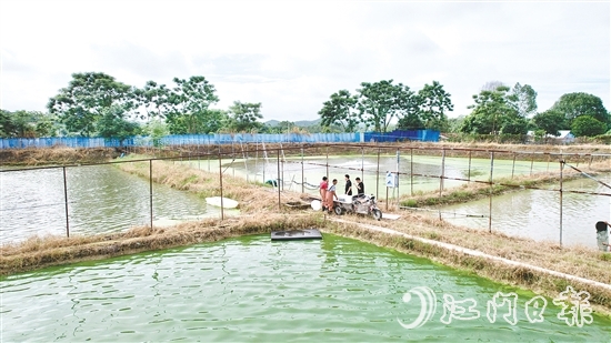 養(yǎng)殖基地毗鄰鶴城鎮(zhèn)三堡河，水源充沛，水質(zhì)優(yōu)良。