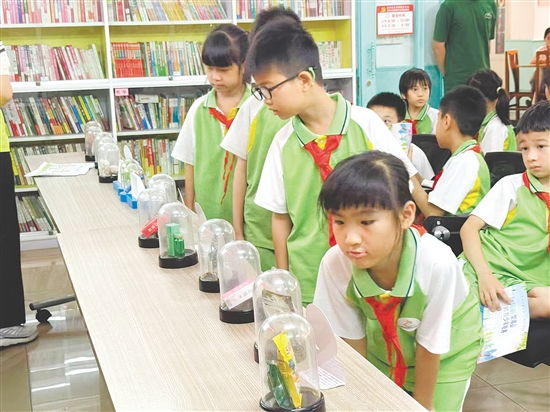 學生們有序參觀毒品仿真模型。